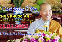 Ba cách sống ở đời – Thích Nữ Như Lan