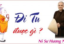 Đi tu được gì – Thích Nữ Hương Nhũ