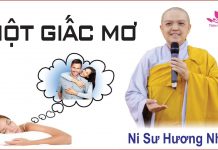 Một giấc mơ – Thích Nữ Hương Nhũ