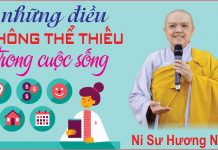 Những điều không thể thiếu trong cuộc sống – Thích Nữ Như Lan