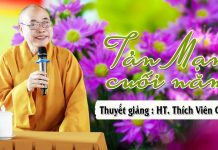Tản Mạn Cuối Năm – Thích Viên Giác