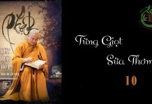 Từng Giọt Sữa Thơm phần 10 – Thích Pháp Hòa