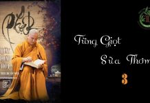 Từng giọt sữa thơm phần 3 – Thích Pháp Hòa