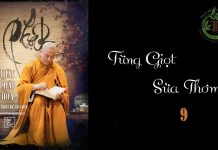 Từng Giọt Sữa Thơm phần 9 – Thích Pháp Hòa