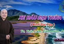 Xe Báu Đại Thừa phần 11 – Thích Pháp Hòa