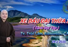 Xe báu Đại Thừa phần 2 – Thích Pháp Hòa