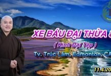 Xe Báu Đại Thừa phần 8 – Thích Pháp Hòa