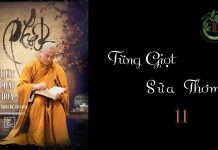 Từng Giọt Sữa Thơm phần 11 – Thích Pháp Hòa