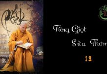 Từng Giọt Sữa Thơm phần 12 – Thích Pháp Hoà