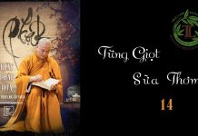 Từng Giọt Sữa Thơm phần 14 – Thích Pháp Hòa
