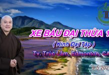 Xe Báu Đại Thừa phần 12 – Thích Pháp Hòa
