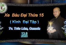 Xe Báu Đại Thừa phần 15 – Thích Pháp Hòa