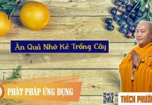 Ăn quả nhớ kẻ trồng cây – Thích Phước Tiến