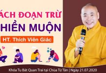 Cách Đoạn Trừ Phiền Muộn – Thích Viên Giác