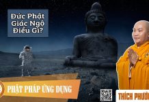 Đức Phật Giác Ngộ Điều Gì? (KT119) – Thích Phước Tiến