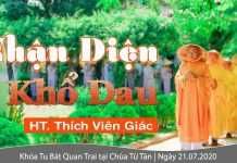 Nhận Diện Khổ Đau – Thích Viên Giác
