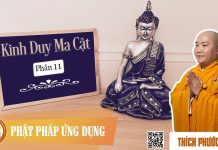 Kinh Duy Ma Cật Phần 11 – Thích Phước Tiến
