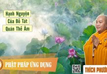 Hạnh Nguyện Của Bồ Tát Quán Thế Âm – Thích Phước Tiến