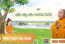 Cốt Tủy Của Chánh Pháp – Thích Phước Tiến