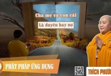 Cha Mẹ Và Con Cái Là Duyên Hay Nợ? – Thích Phước Tiến