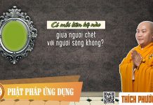 Có Mối Liên Hệ Nào Giữa Người Chết Với Người Sống Không? – Thích Phước Tiến