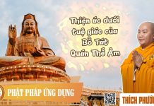 Thiện ác dưới tuệ giác Bồ Tát Quán Thế Âm – Thích Phước Tiến