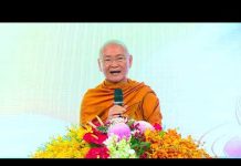 Cốt lõi của Phật giáo – Thích Viên Minh
