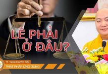 Lẽ Phải Ở Đâu? – Thích Phước Tiến