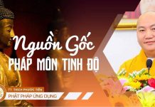 Nguồn Gốc Pháp Môn Tịnh Độ – Thích Phước Tiến