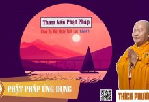 Tham Vấn Phật Pháp – Khóa Tu Ngày Tịnh Lạc Lần 1 – Thích Phước Tiến
