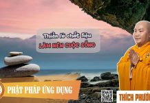 Thiền – Chất liệu làm nên cuộc sống – Thích Phước Tiến