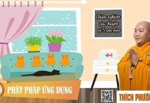 Chiêm Nghiệm Câu Chuyện Về 5 Con Mèo – Thích Phước Tiến