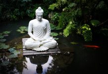 Kinh Trung A-Hàm 10 – Phẩm Lâm kinh luat luan 43