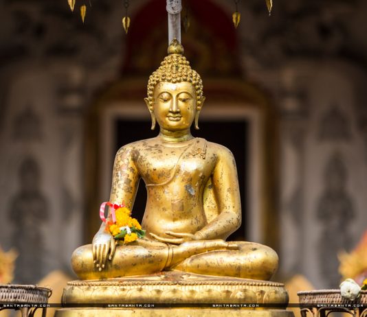 Kinh Trường Bộ 13 – Kinh Tam Minh (Tevijja Sutta) kinh luat luan 8