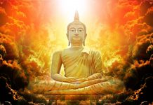 Kinh Trung A-Hàm 9 – Phẩm Nhân phap bao 7