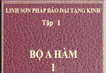 Linh Sơn Pháp Bảo Đại Tạng Kinh – Tập 1 – Bộ A Hàm I