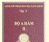 Linh Sơn Pháp Bảo Đại Tạng Kinh – Tập II – Bộ A Hàm II
