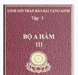 Linh Sơn Pháp Bảo Đại Tạng Kinh – Tập III – Bộ A Hàm