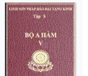 Linh Sơn Pháp Bảo Đại Tạng Kinh – Tập 5 – Bộ A Hàm V