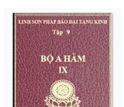 Linh Sơn Pháp Bảo Đại Tạng Kinh – Tập 9 – Bộ A Hàm IX
