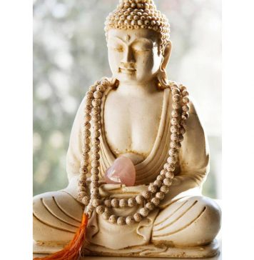 Bài Giảng Về Nét Chính Yếu Của Kinh A Di Đà – HT. Diêu Tần Tam Tạng Bai Giang Ve Net Chinh Yeu Cua Kinh A Di Da HT Dieu Tan Tam Tang
