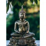 Lược Giải Bổn Môn Pháp Hoa – Thích Trí Quảng Luoc Giai Bon Mon Phap Hoa Thich Tri Quang