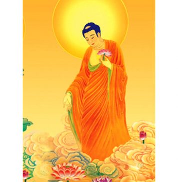 Tịnh Độ Ngũ Kinh – HT Thích Hành Trụ Tinh Do Ngu Kinh