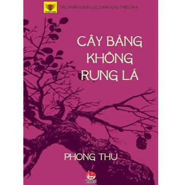 Cây Bàng Không Rụng Lá – Phong Thu cay bang khong rung la