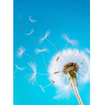 Công Tử Lời – Nhân Ái Một Tấm Lòng – Huỳnh Quan Thư cong tu loi