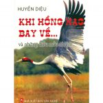 Khi Hồng Hạc Bay Về – HT Thích Huyền Diệu khi hong hac bay ve