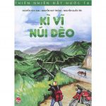 Kì Vĩ Núi Đèo ki vi nui deo