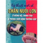 Kỹ thuật chăn nuôi và phòng bệnh cho lợn ky thuat chan nuoi lon