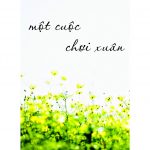 Một Cuộc Chơi Xuân mot cuoc choi xuan