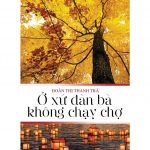 Ở Xứ Đàn Bà Không Chạy Chợ – Đoàn Thị Thanh Trà o xu dan ba khong chay cho